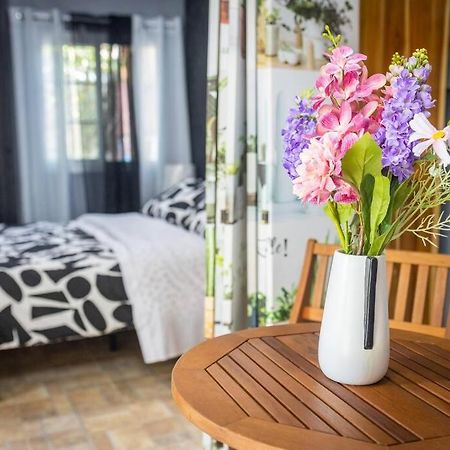 Dos Morenas Apartments - Apt 3 Bajo Boquete 외부 사진