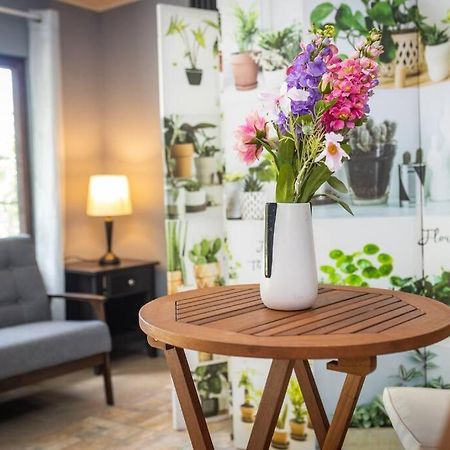 Dos Morenas Apartments - Apt 3 Bajo Boquete 외부 사진
