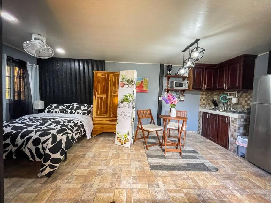 Dos Morenas Apartments - Apt 3 Bajo Boquete 외부 사진
