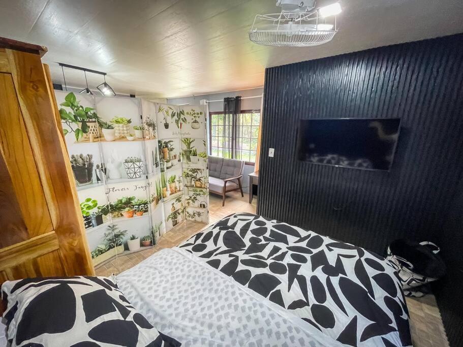 Dos Morenas Apartments - Apt 3 Bajo Boquete 외부 사진
