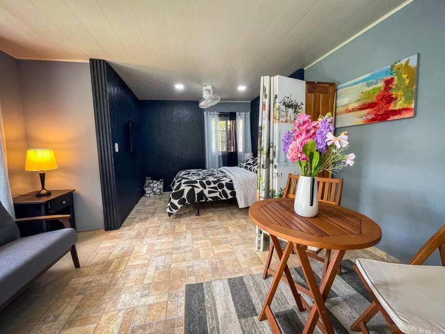 Dos Morenas Apartments - Apt 3 Bajo Boquete 외부 사진