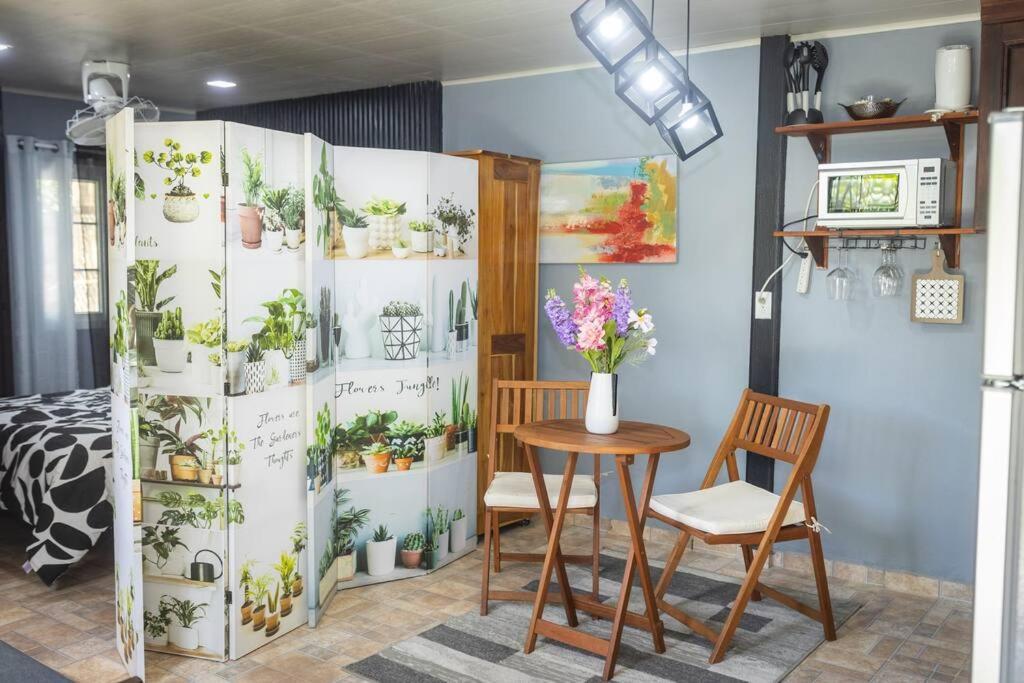 Dos Morenas Apartments - Apt 3 Bajo Boquete 외부 사진